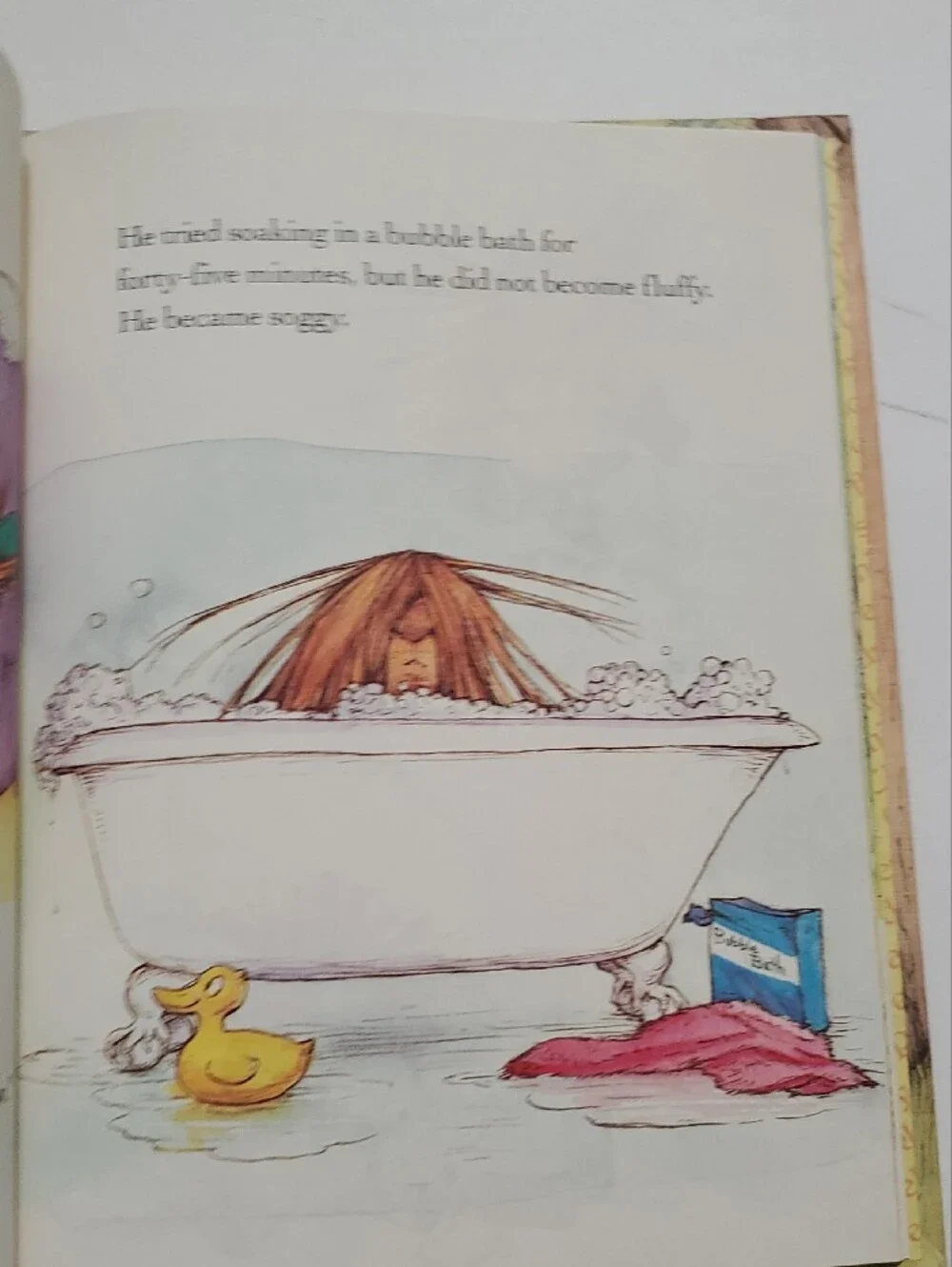 A Porcupine Named Fluffy Vintage 1986 — Illustrated Children’s Book